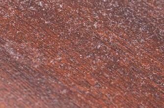 對于家里灰塵的清理，有什么方法嗎？